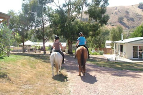 Halls On Falls Homestead - Hotel Accommodation 1