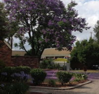 Belvoir Village Motel  Apartments Wodonga - Hotel Accommodation
