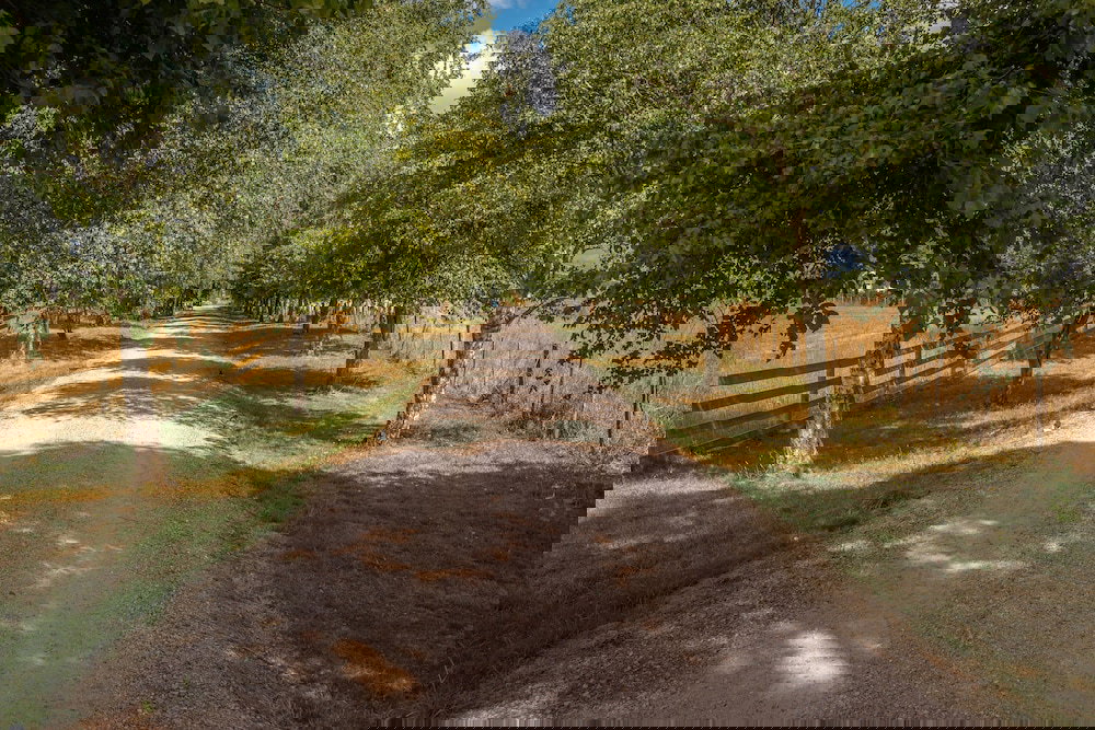 Barrington TAS Hotel Accommodation