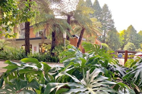 Warburton Motel - Hotel Accommodation 0