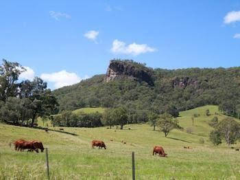 Rosevale House - Hotel Accommodation 0
