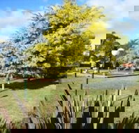 Bairnsdale Main Motel - Hotel Accommodation