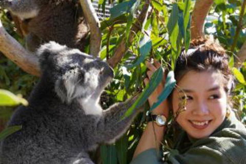 Fauna Australia Wildlife Retreat - Hotel Accommodation 2