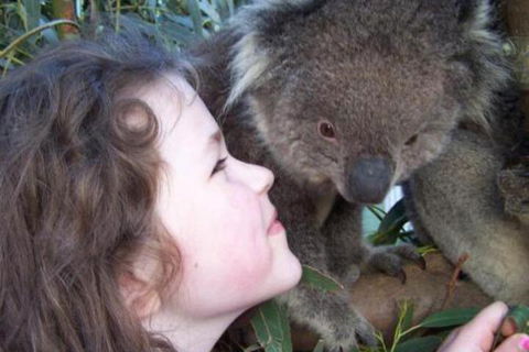Fauna Australia Wildlife Retreat - Hotel Accommodation 3