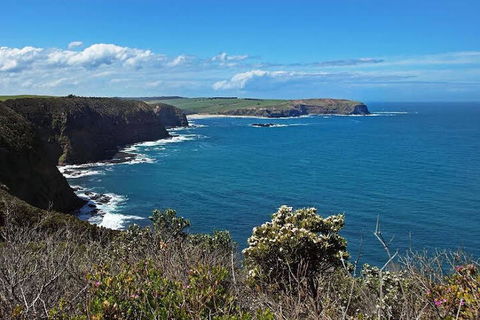 Woodland By The Bay & Puddleduck Cottage - Hotel Accommodation 5