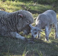 Clandulla Cottages - Hotel Accommodation