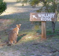 Wallaby Ridge Retreat - Hotel Accommodation