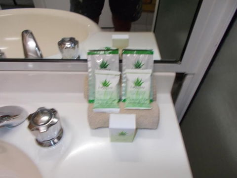 Park House Motor Inn - Hotel Accommodation 6