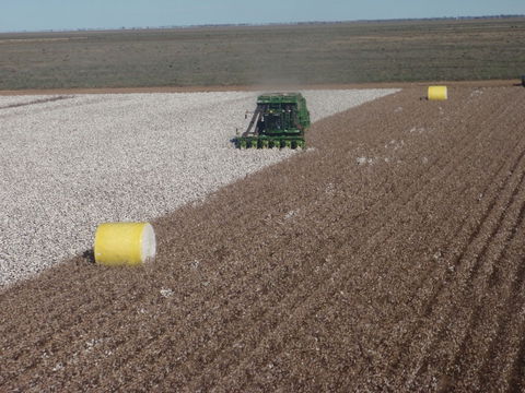 Corynnia Station - Hotel Accommodation 1