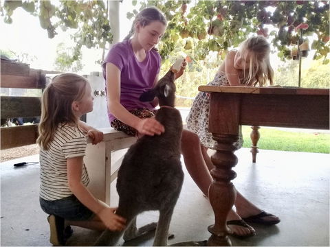 Corynnia Station - Hotel Accommodation 2