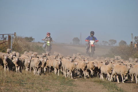 Corynnia Station - Hotel Accommodation 4