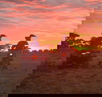 Corynnia Station - Hotel Accommodation