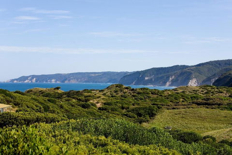 The Farm House - Hotel Accommodation 4