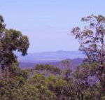 Ravensbourne Escape Cedar Lodge - Hotel Accommodation