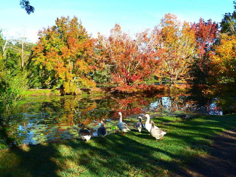 McCarthy Lake House - Hotel Accommodation 1