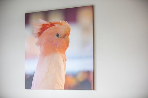 Nightcap At Chester Hill Hotel - Hotel Accommodation 2