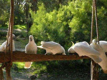 The Burrow At Wombat Bend - Hotel Accommodation 0