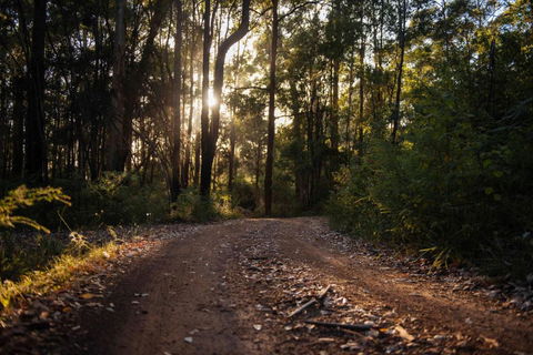 Mudstone Spa Retreat - Hotel Accommodation 5