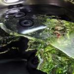 Mudstone Spa Retreat - Hotel Accommodation 1