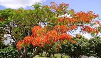 Chatsworth QLD Hotel Accommodation