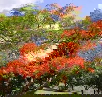 Eastwood Farm - Hotel Accommodation