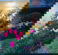 The Vines Motel and Cottages - Hotel Accommodation