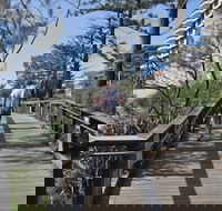 Villa Coolum - Hotel Accommodation