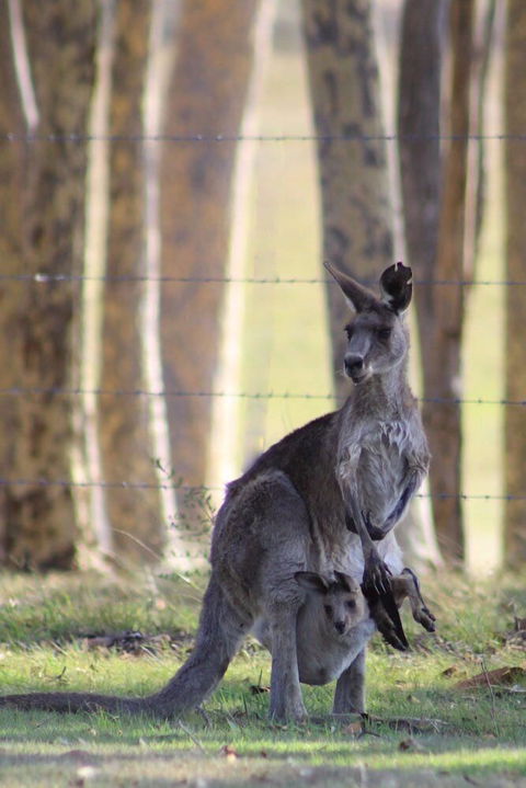 Bella Wind Bed & Breakfast - Hotel Accommodation 0