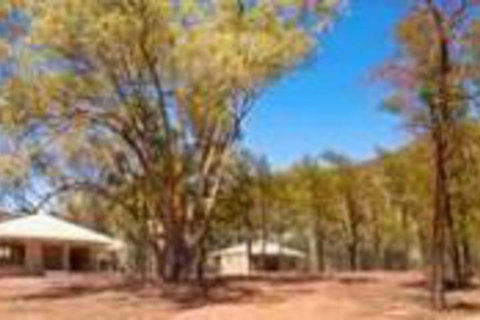 Ikara Safari Camp - Hotel Accommodation 5