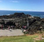 Sea Whispers - Hotel Accommodation