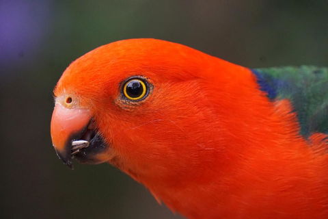 305 Montville - Hotel Accommodation 3