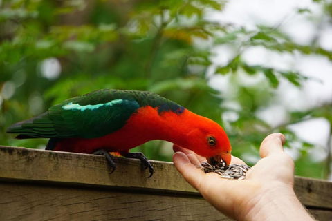 305 Montville - Hotel Accommodation 5