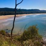 Ocean Beach Cottage - Hotel Accommodation 0