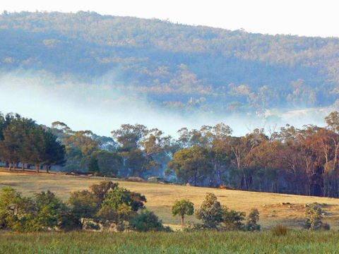 Candlebark Retreat - Hotel Accommodation 5