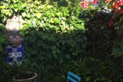 Jerningham Street Cottage - Hotel Accommodation 4
