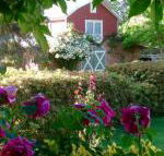 A Country Barn Retreat - Hotel Accommodation