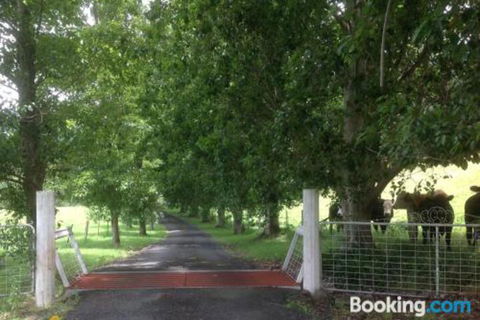 Whispers At Cedar Grove - Hotel Accommodation 7