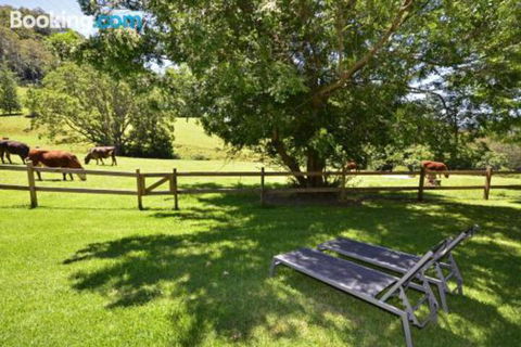 Whispers At Cedar Grove - Hotel Accommodation 5