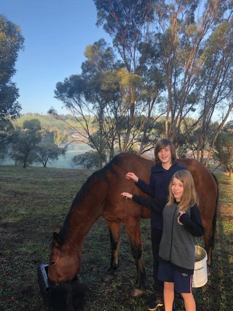 Balinga Cottages - Hotel Accommodation 4