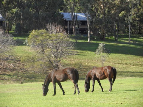 Balinga Cottages - Hotel Accommodation 1