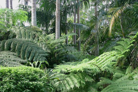 Amore Mt Tamborine - Hotel Accommodation 1
