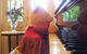 Amore Mt Tamborine - thumb 4