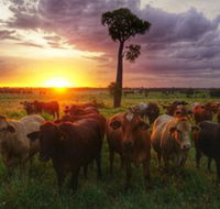 Myella Farm Stay - Hotel Accommodation