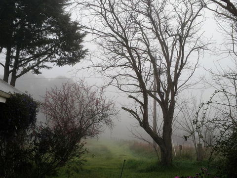 Brookvale House Balingup - Hotel Accommodation 3