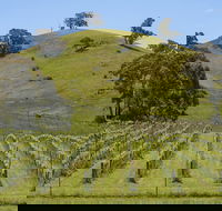 Blue House at Mountainside Wines - Hotel Accommodation