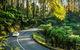 Lithgow Falls Marysville - thumb 6