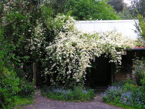 Lemonade Creek Cottages - Hotel Accommodation 4