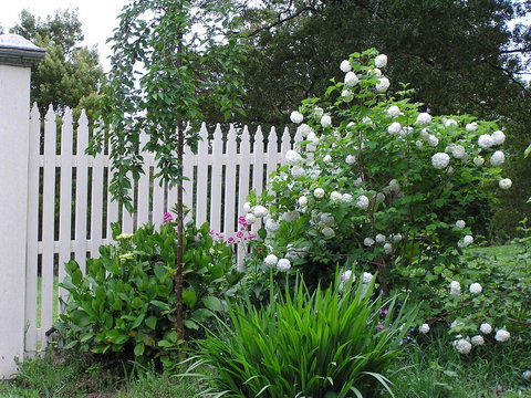 Lemonade Creek Cottages - Hotel Accommodation 2