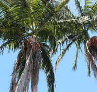 Tri Byron Bay - Hotel Accommodation