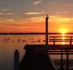 Bayview Boathouse - Hotel Accommodation